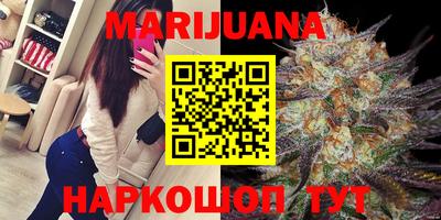 mdpv Славгород