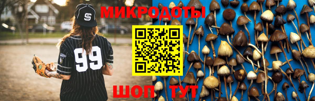 Галлюциногенные грибы Psilocybine cubensis  Вход с VPN  Псилоцибиновые грибы Cubensis  Светлоград 